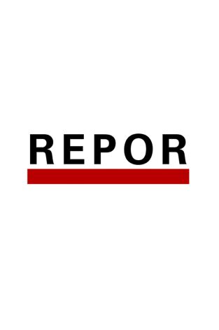 Repor. T(T2025). Repor (T2025): Hostal Dulce Hostal
