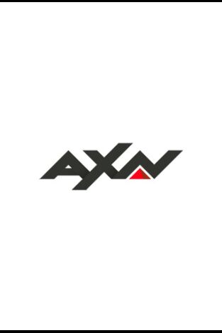 Sue Thomas: el ojo del FBI. T(T2). Sue Thomas: el... (T2): Ep.7 Malos pelos y malas pulgas