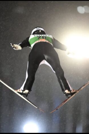 Copa del mundo de saltos de esquí