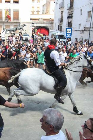 Entrada de Bous i Cavalls de Cheste