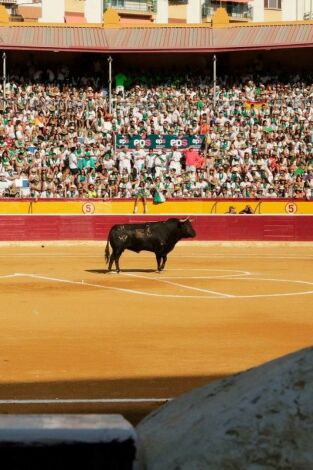 Feria Taurina de la Albahaca, Huesca 2025