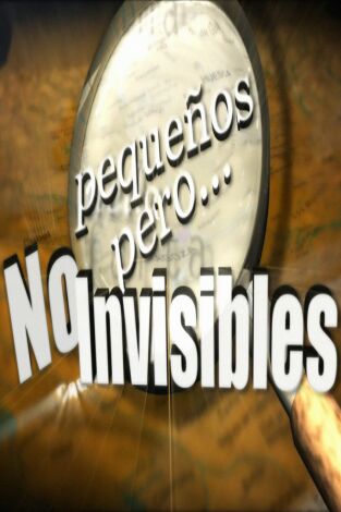 Pequeños, pero no invisibles. Pequeños, pero no...: Salillas y Alcaine