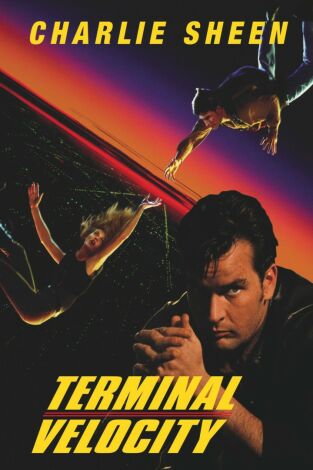 Velocidad terminal