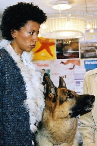 Rex, un policía diferente. T(T14). Rex, un policía... (T14): Ep.8 Todo en una noche