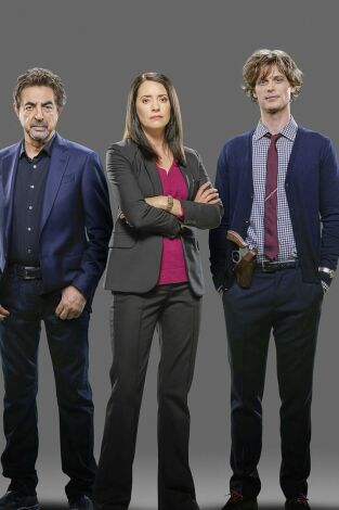 Mentes criminales. T(T12). Mentes criminales (T12): Ep.11 Tensión superficial