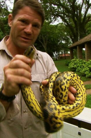 Fauna letal. Fauna letal: Uganda