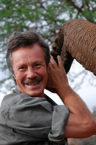 Diario de elefantes. Diario de elefantes 