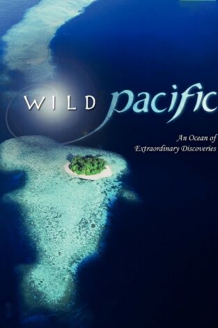 Pacífico Sur. Pacífico Sur: Un océano de volcanes