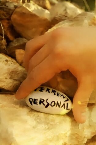 Terreny personal. T(T1). Terreny personal (T1): Plana de Vic