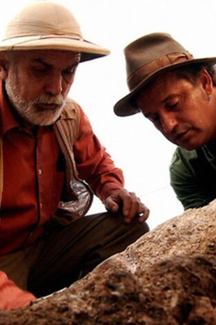 Sota terra. T(T1). Sota terra (T1): La Boella: esbudellar un mamut