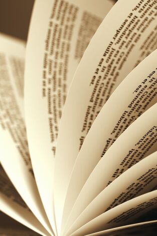 Via llibre. T(T1). Via llibre (T1): El poder