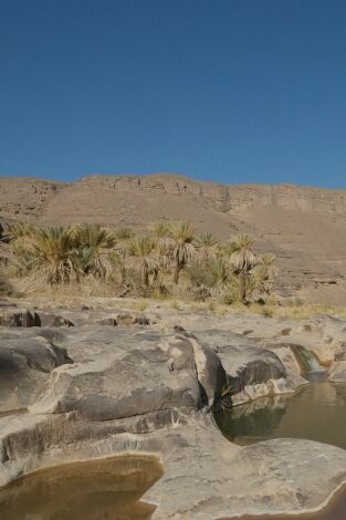 El Sàhara verd. El Sàhara verd: Episodi 2