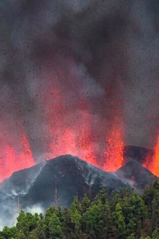 Después del Volcán: las voces y los ecos