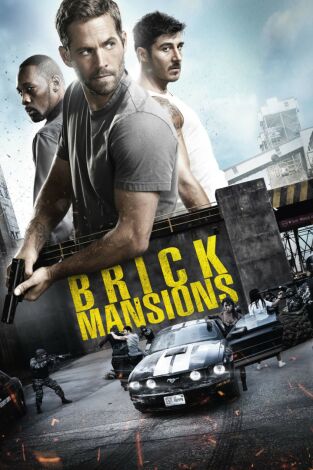 Brick Mansions (La fortaleza)