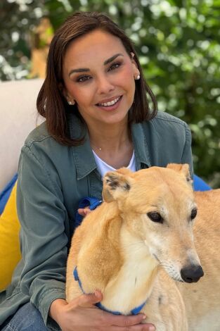 Dog House. T(T1). Dog House (T1): Ep.8