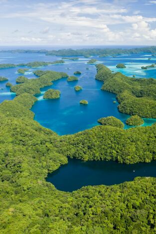 Arqueología en la jungla. Arqueología en la...: La antigua ciudad de Pohnpei