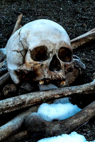 Arqueología en el hielo. Arqueología en el...: Hamin Mangha