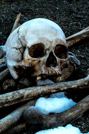 Arqueología en el hielo. Arqueología en el hielo: La Tène