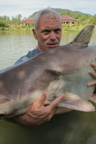 Monstruos de río. Monstruos de río: Tiburón de agua dulce