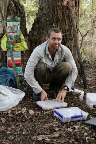 Sin cobertura. Sin cobertura: La maldición de la jungla 