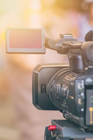 Delincuentes al desnudo. Delincuentes al desnudo: Aviones, trenes y automóviles