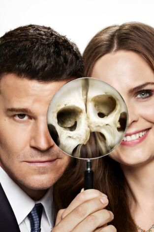 Bones. T(T8). Bones (T8): Ep.10 El diamante en bruto