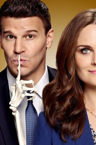 Bones. T(T9). Bones (T9): Ep.13 Una estrella en Filipinas