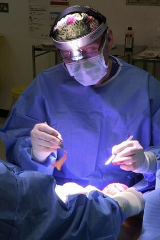 Desastres estéticos. T(T5). Desastres estéticos (T5): Ep.2