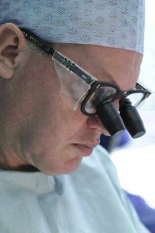 Desastres estéticos. T(T1). Desastres estéticos (T1)