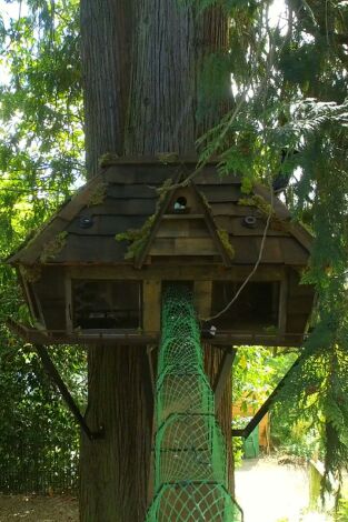 Supercasas para mascotas. T(T1). Supercasas para... (T1): Castillo para gatos