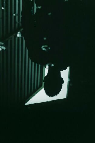 Cómo reconocer a un psicópata. T(T9). Cómo reconocer a... (T9): Ep.6 