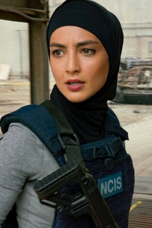 NCIS: Los Ángeles. T(T13). NCIS: Los Ángeles (T13): Ep.8 En tierra de lobos