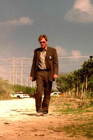C.S.I.. T(T2). C.S.I. (T2): Ep.20 Gatos en la cuna