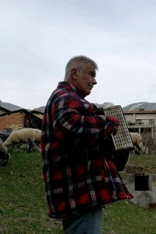 Pastors i ramats: un món que se'n va. Pastors i ramats: un...: Sergi Sánchez