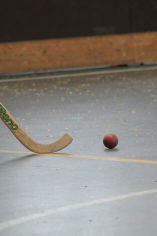 Hoquei patins