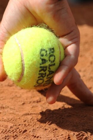 Previa Roland Garros