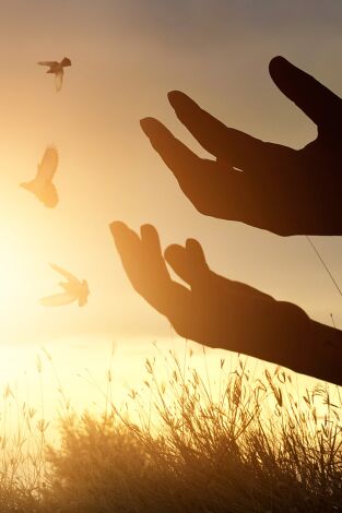 El dogma de la perpetua virginidad de María