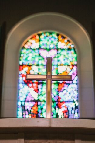 Especial de EWTN. Especial de EWTN: Camino Abierto