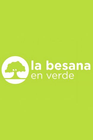 Lo mejor de la Besana en Verde