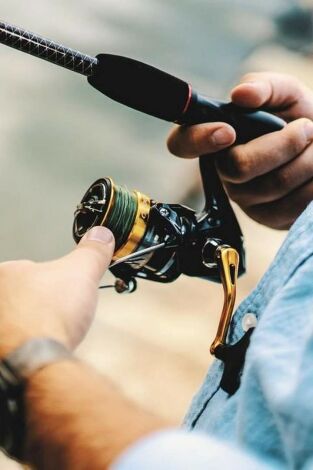 Ecos del jarama black bass