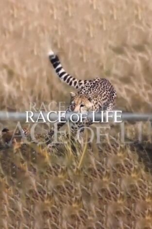 La carrera por la vida. La carrera por la vida: Guerreros de la naturaleza