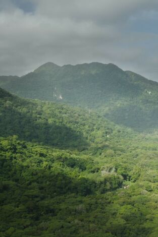 Tayrona