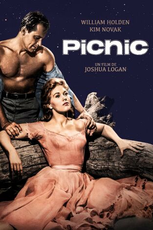 Picnic