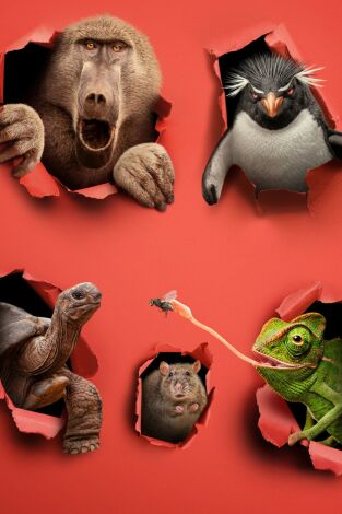 Bichos raros. Bichos raros: Sin Miedo a Ser Diferentes