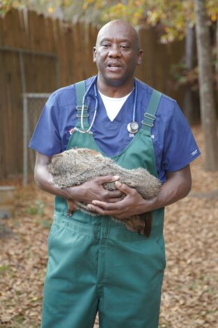 Critter fixers: Veterinarios rurales