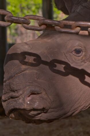 Especial Secretos del zoo Tampa