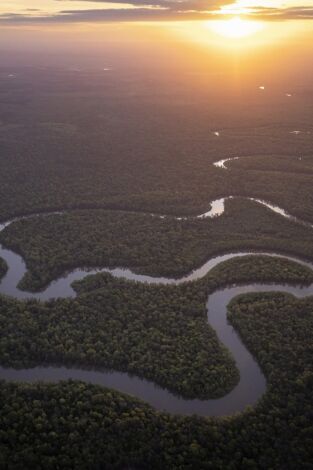Amazonia americana. Amazonia americana: Ríos secretos