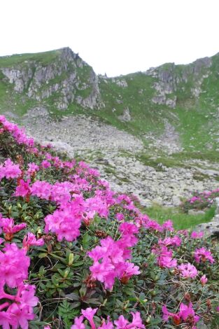 El lado salvaje de los Cárpatos. El lado salvaje de los...: Primavera