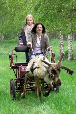 Doctora en el Zoo. T(T4). Doctora en el Zoo (T4): Ep.4 Sobre el terreno