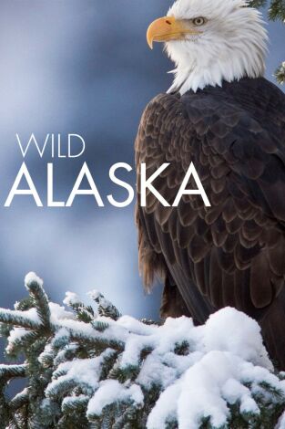 Alaska salvaje